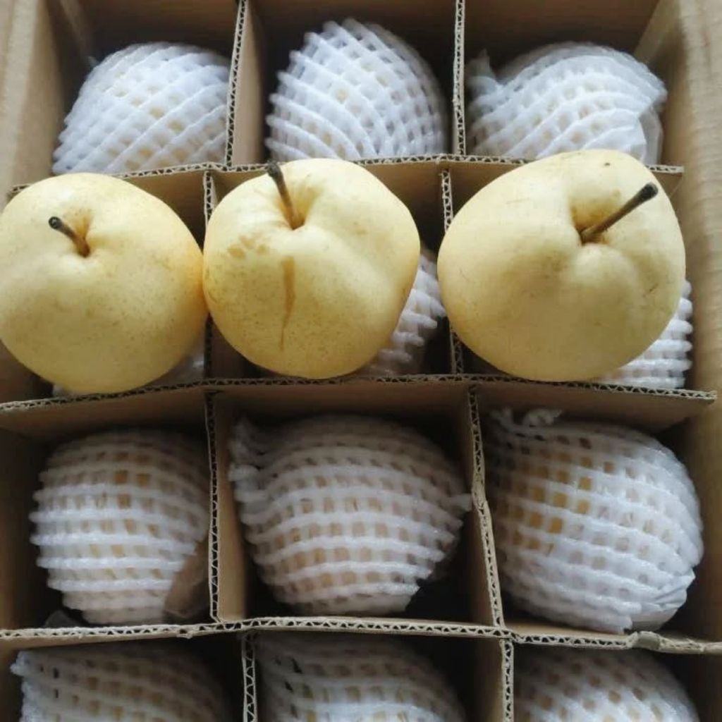 

Buah Pir madu manis mantap Fresh 1kg Termurah