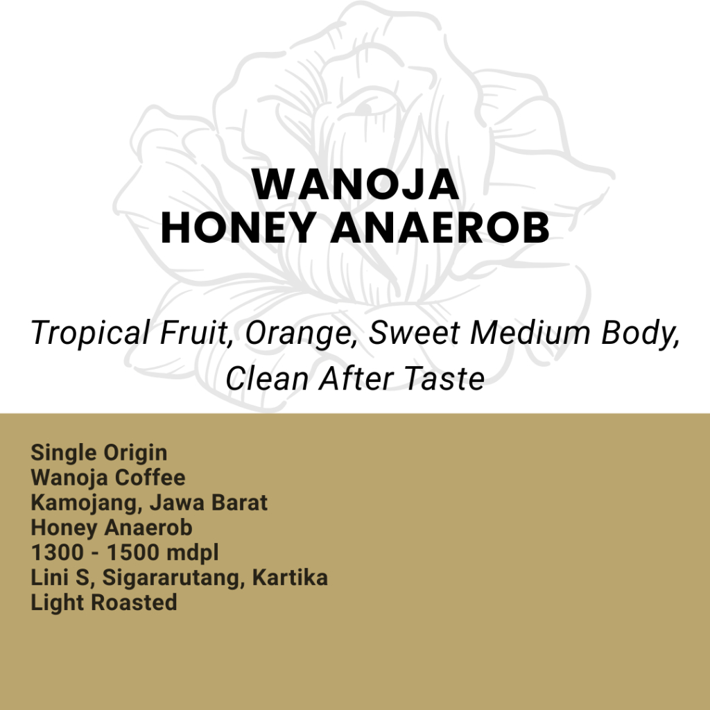 

Kopi Arabika Wanoja Honey Anaerob - Single Origin Filter Coffee