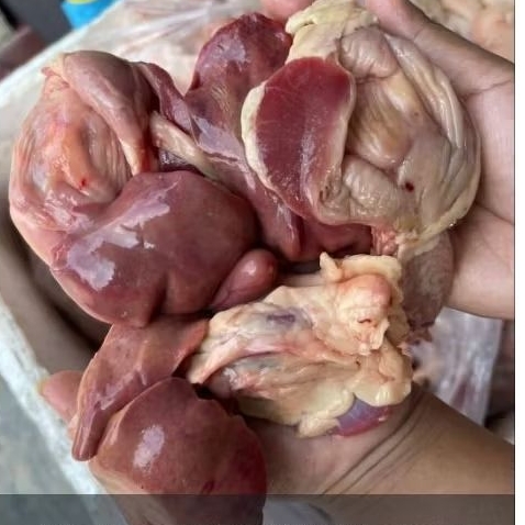 

HATI AMPELA AYAM BERSIH 1 KG