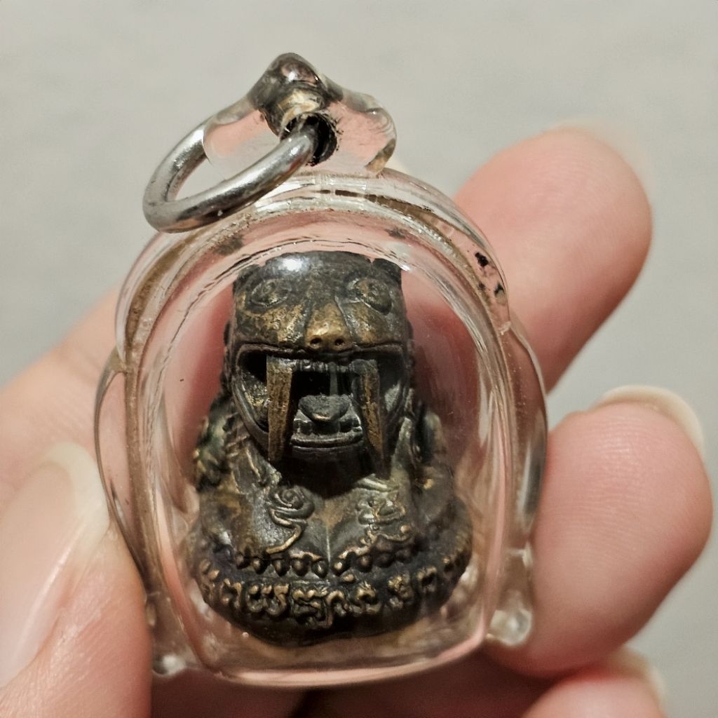 Saber-toothed tiger ~ Lp Kalong Wat Khao Laem