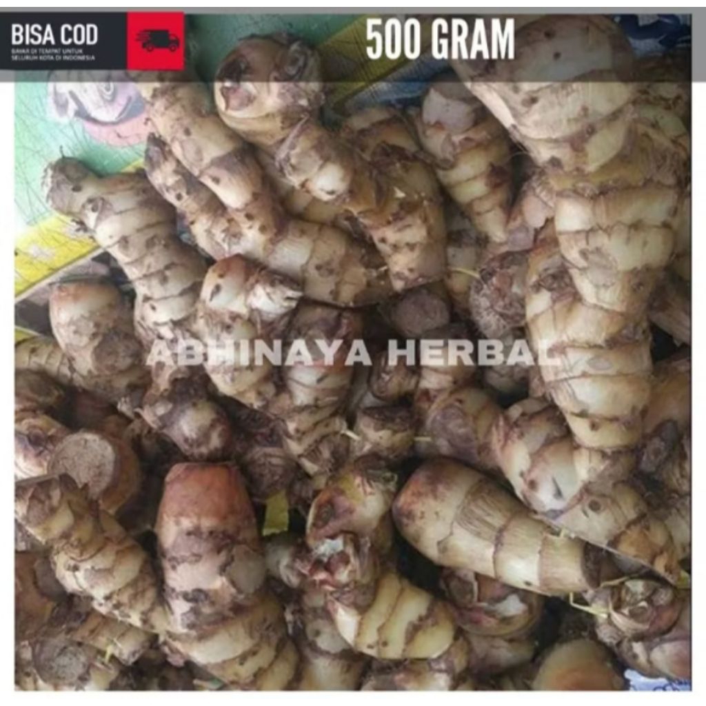

umbi ganyong fresh / Ganyo segar basah 500gram