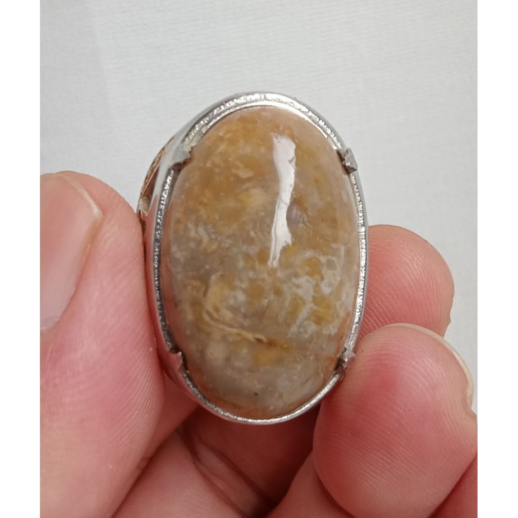 Batu Akik Lawas Badar Asem Topppps