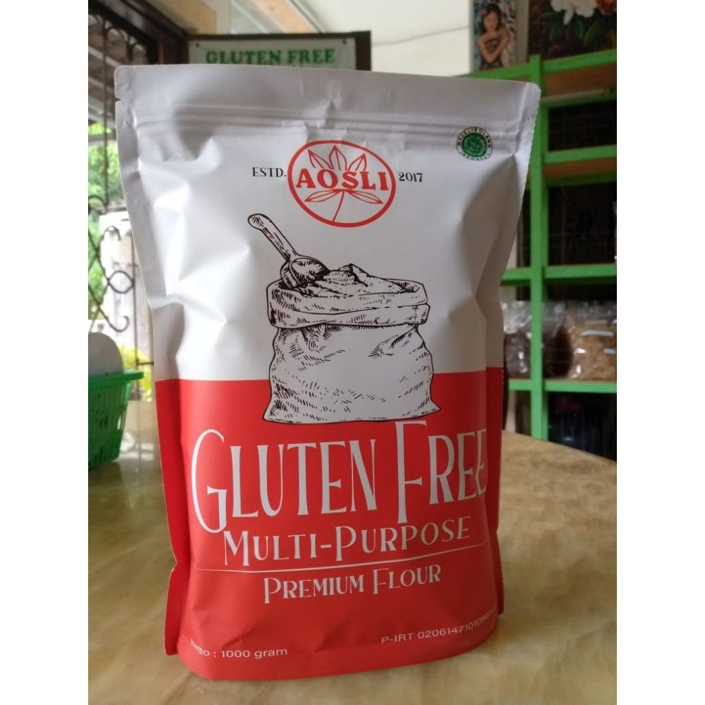 

Tepung Mocaf Premium Gluten Free - Tepung Singkong Kemasan 1 kg (AOSLI)