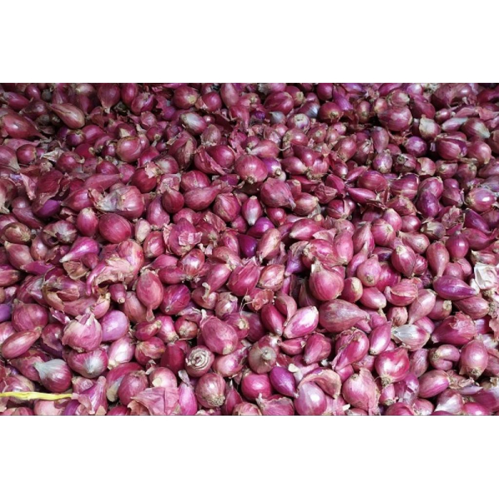 

bawang merah kualitas super 1kg ukuran besar murah