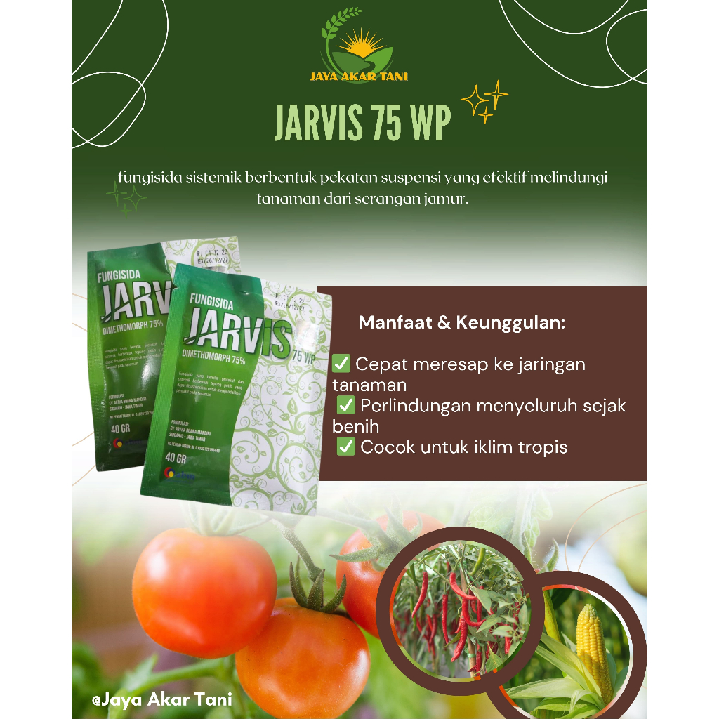 Jarvis Fungisida Sistemik 75 WP dan Mancozeb 80 WP Kombinasi untuk  perlindungan tanaman tomat