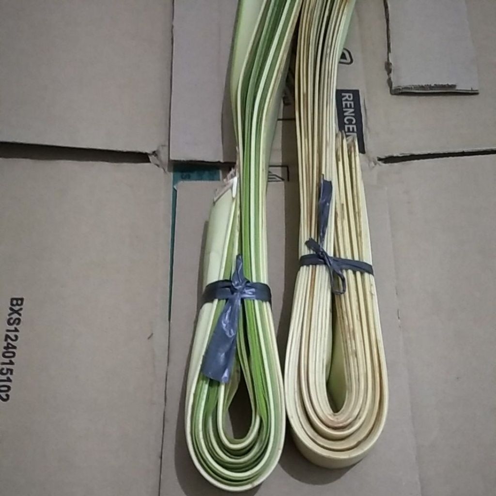 

Daun Janur Kelapa Muda segar per ikat