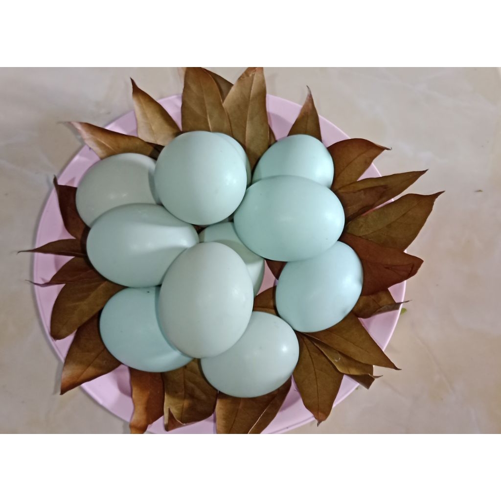 

TELUR ASIN MASIR KHAS KEBUMEN MURAH 4 BUTIR