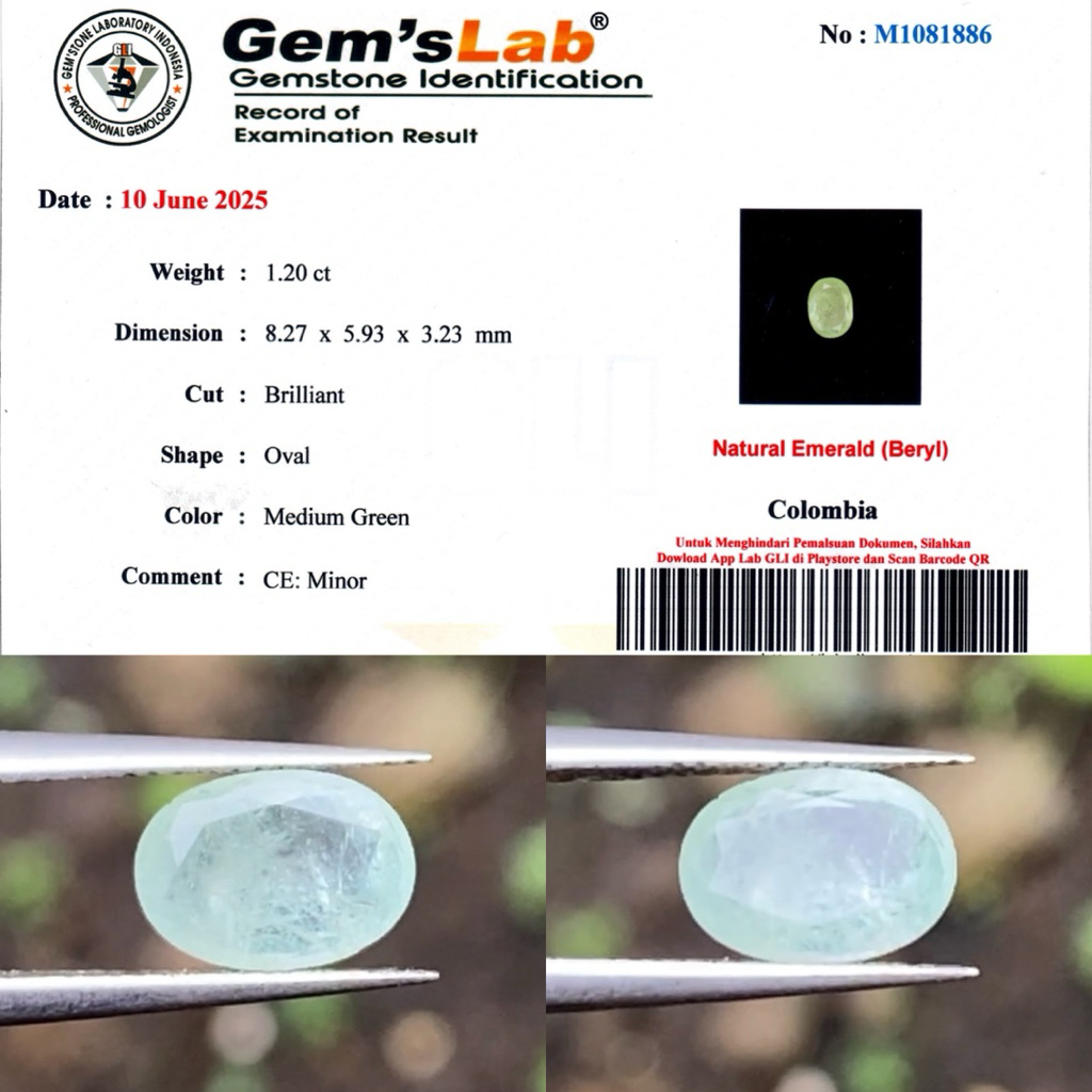 1,20 cts Natural Emerald Beryl Colombia (Zamrud) CE Minor Sertifikat GLI