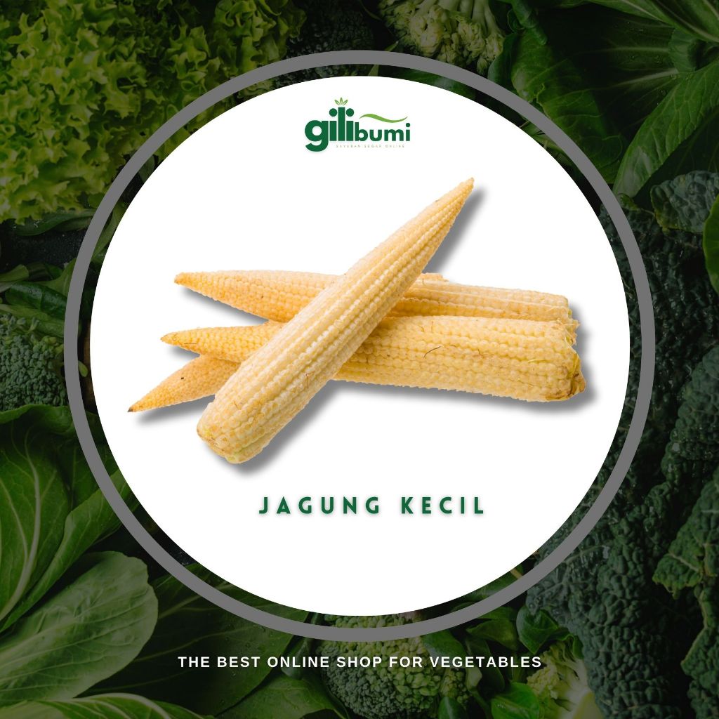 

Jagung Kecil 250gr