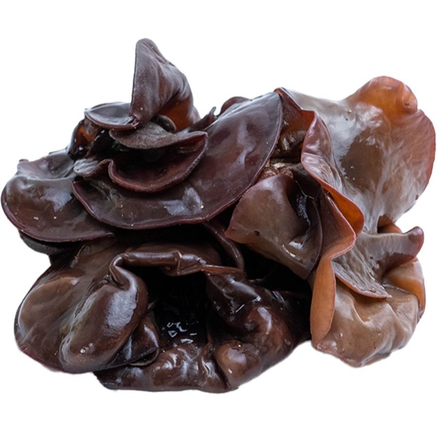 

Jamur Kuping Segar 250 gram Berkualitas