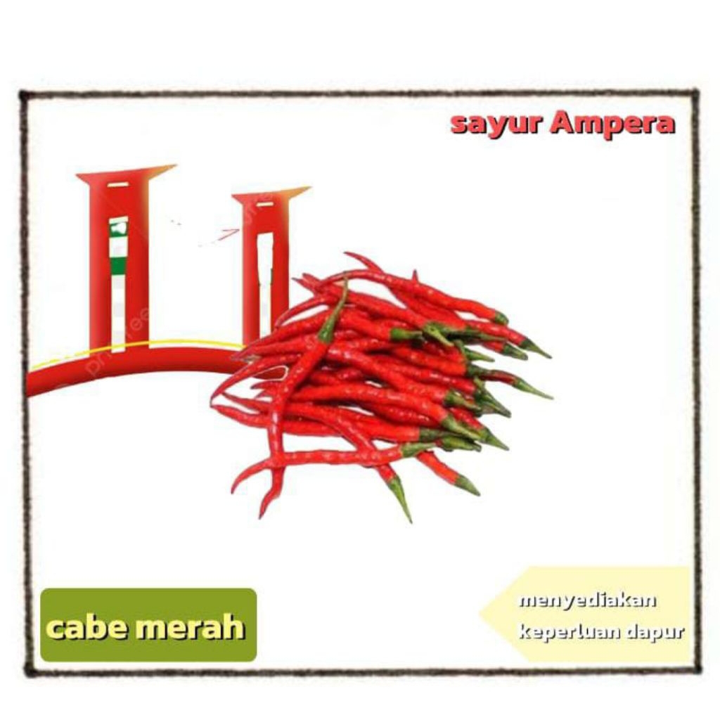

cabe merah keriting