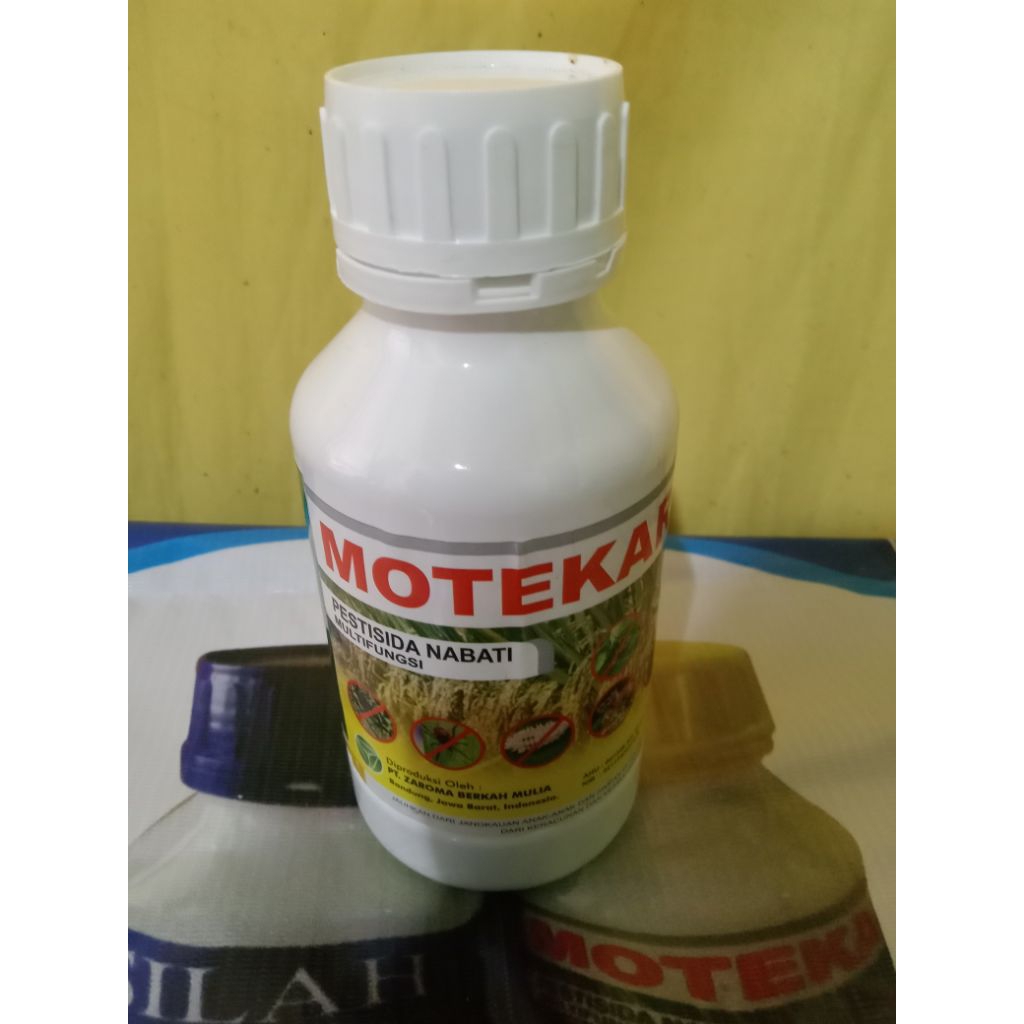 Pestisida Nabati "Motekar"