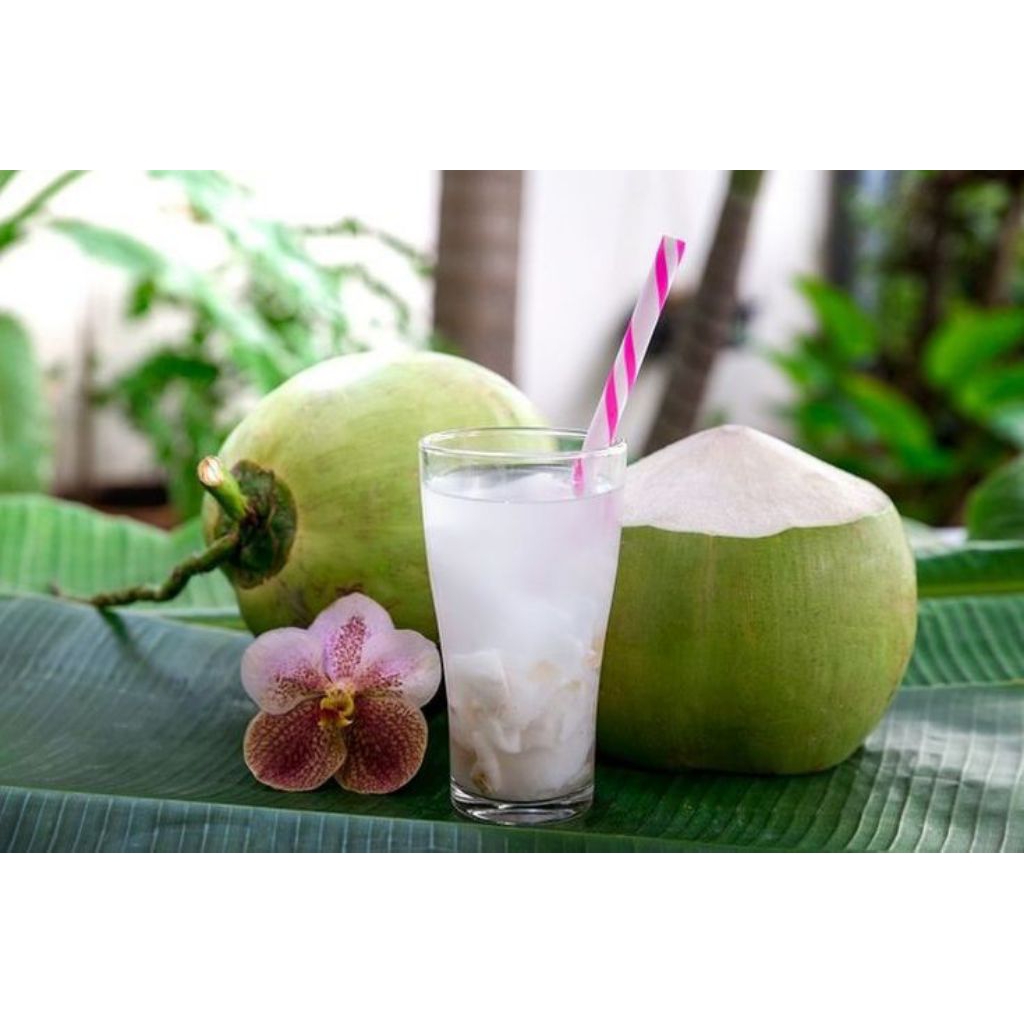 

Kelapa Muda Segar/1 pcs(dipetik saat mau dikemas)