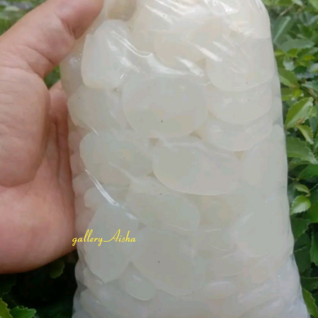 

kolang kaling segar , kolang Kaling super , kolang Kaling atau caruluk 1 kg