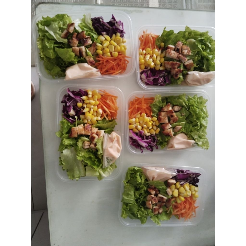 

chicken salad / salad ayam / salad sayur