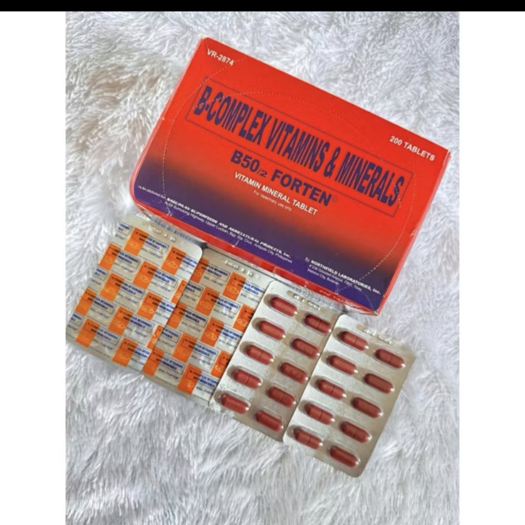 B50 forten original sagupaan vitamin ayam b complex