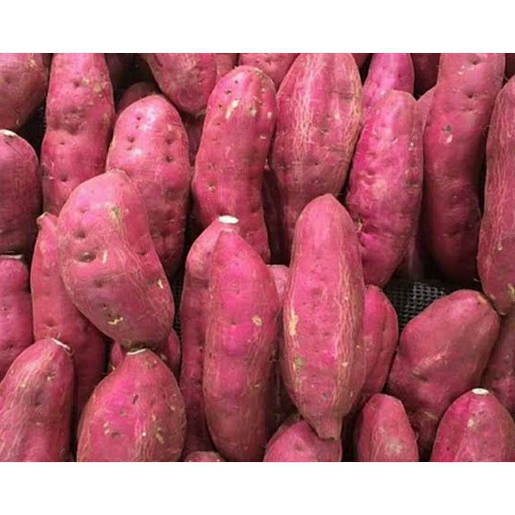 

ubi/telo ungu 1kg asli pacet