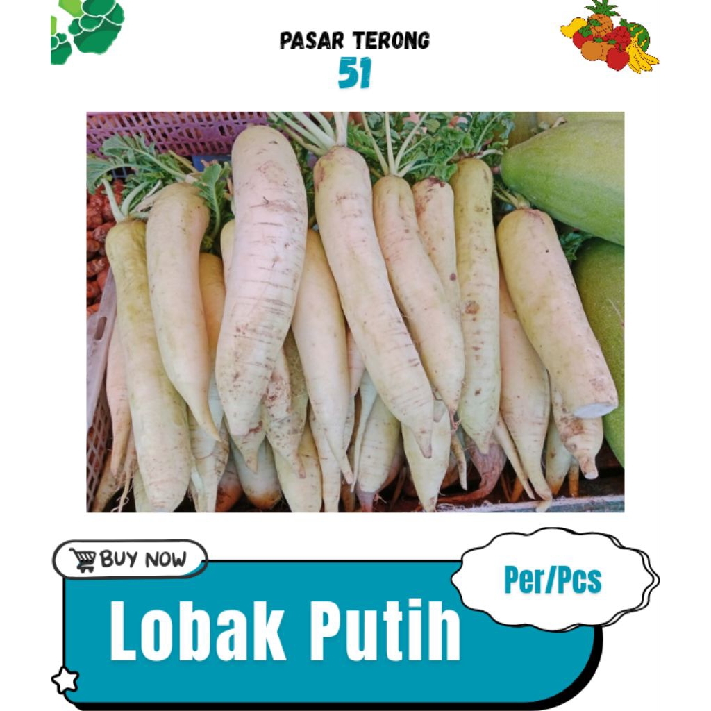 

Lobak Putih Makassar