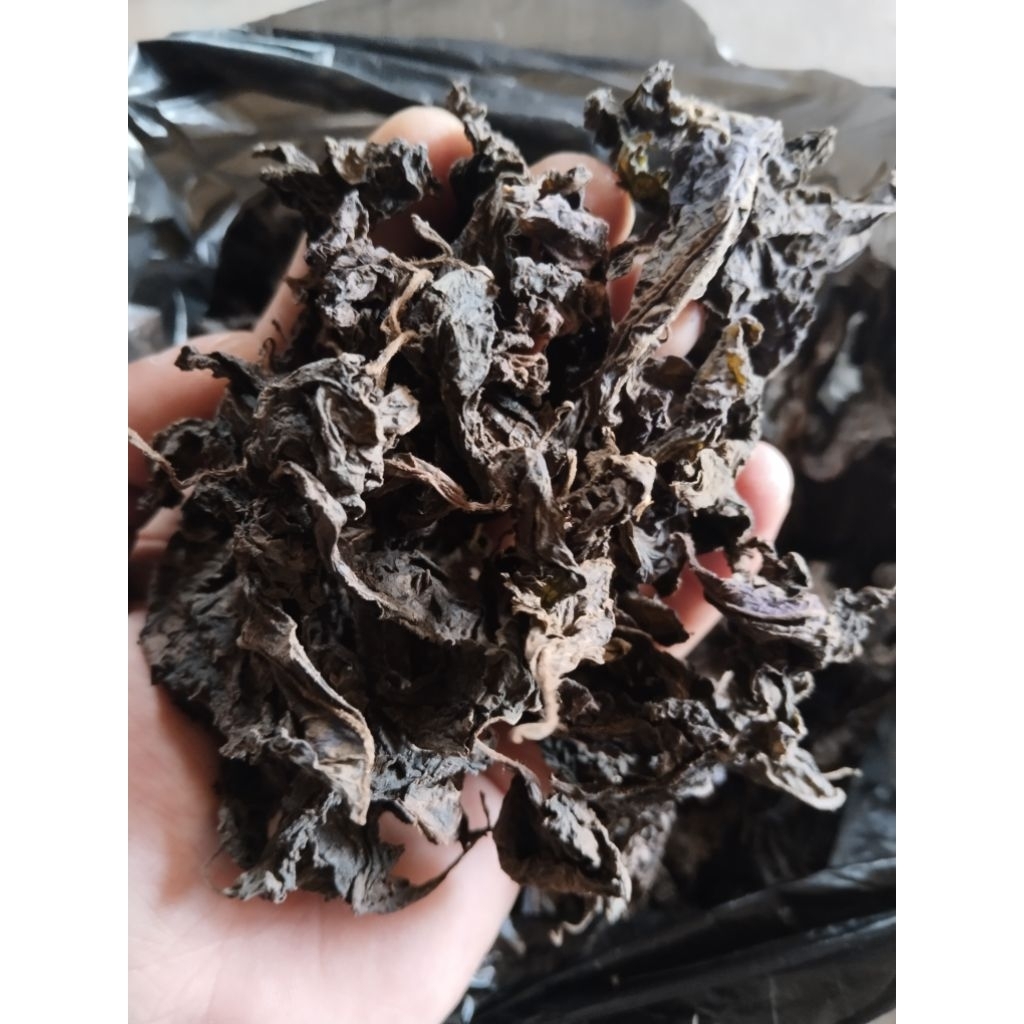 

daun jawer kotok kering daun miana kering 200gram