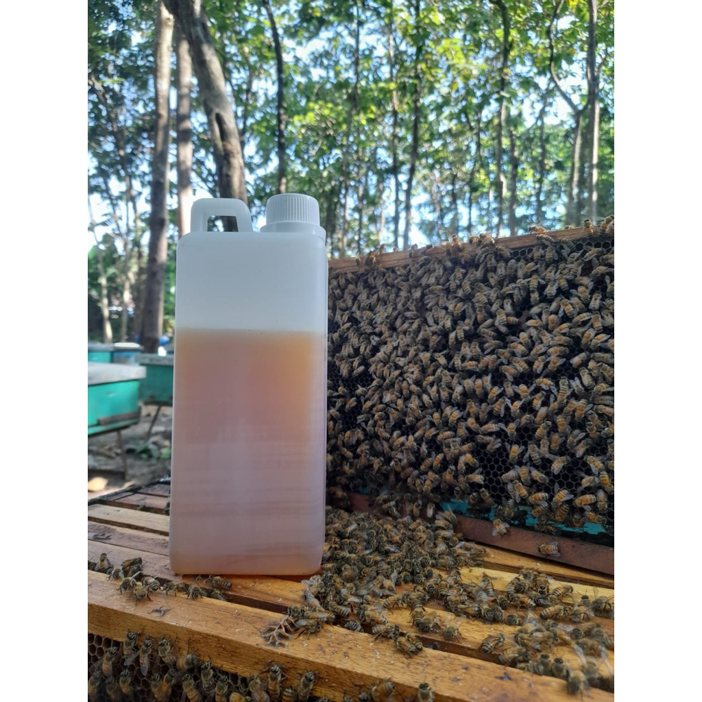 

Madu Murni Asli Fresh 1Kg