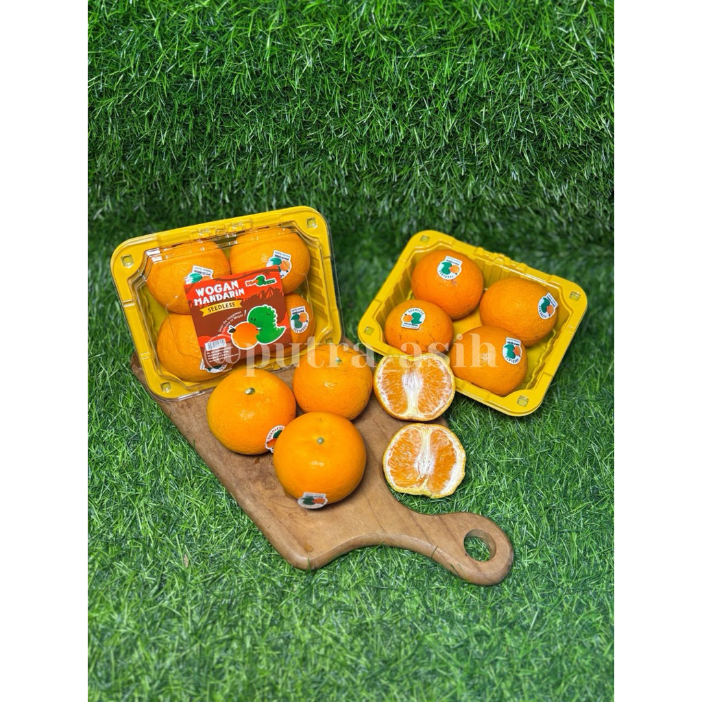 

Jeruk Wokam Seedless 500gr