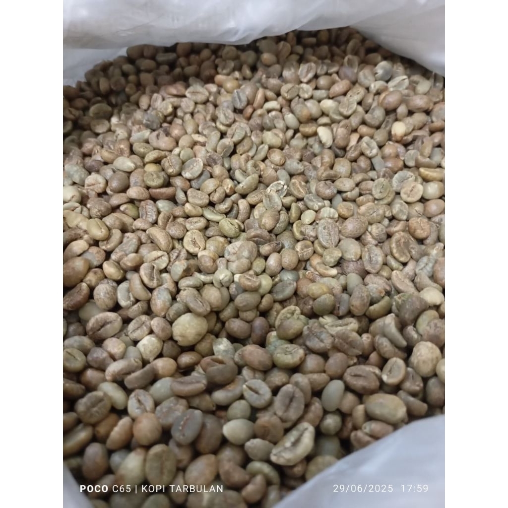 

Green Bean Biji Kopi Mentah Robusta Lampung Grade 1