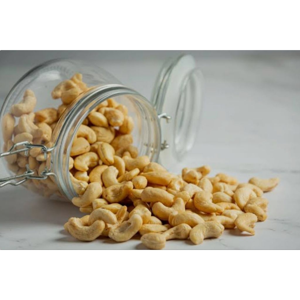 

kacang biji mente