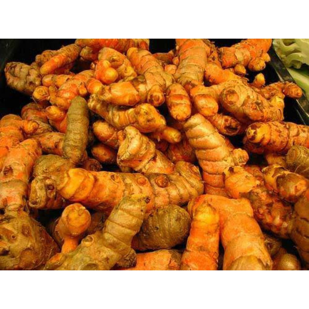 

1kg kunyit segar dan berkualitas