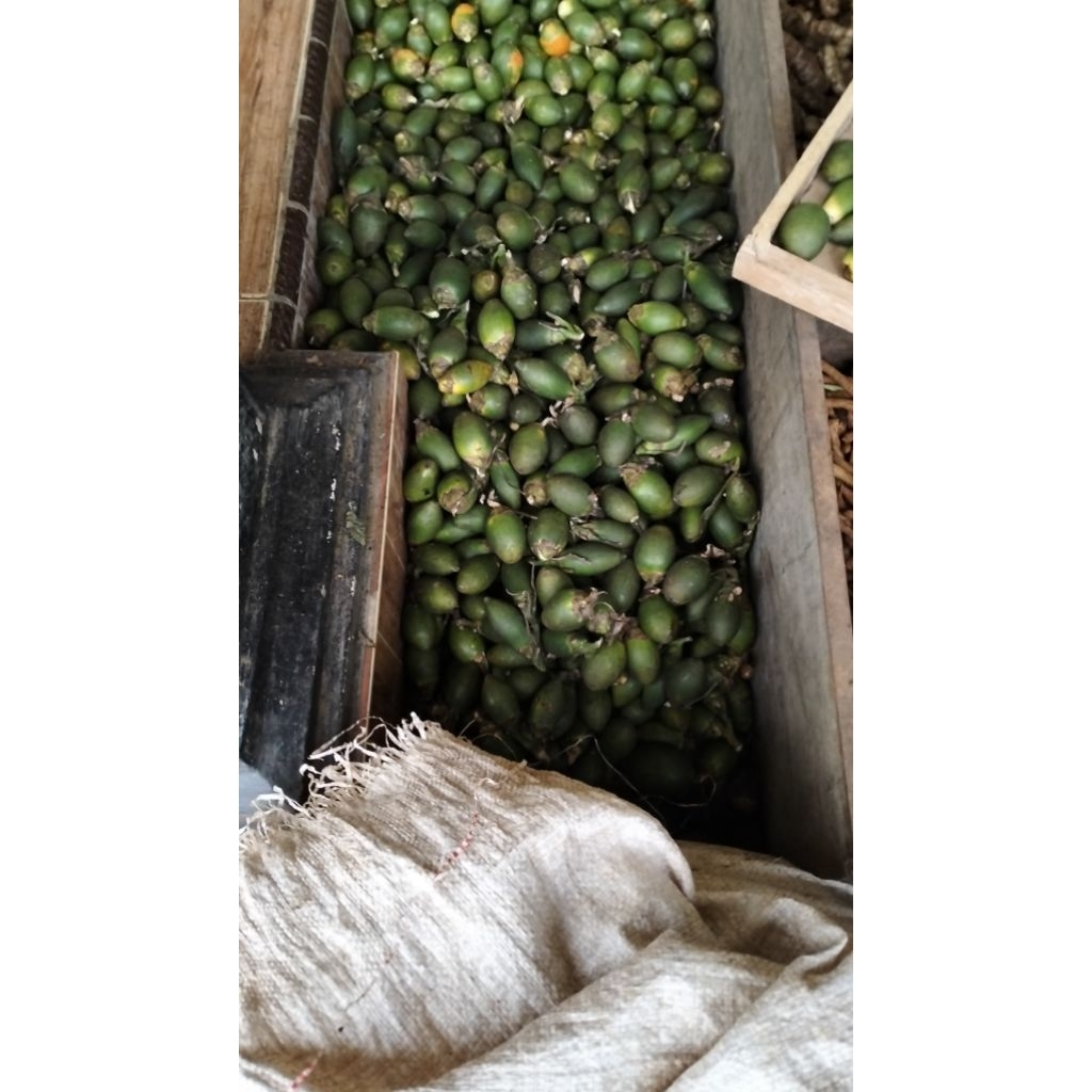 

KILAT SALE 2 KG PINANG MUDA FRESH