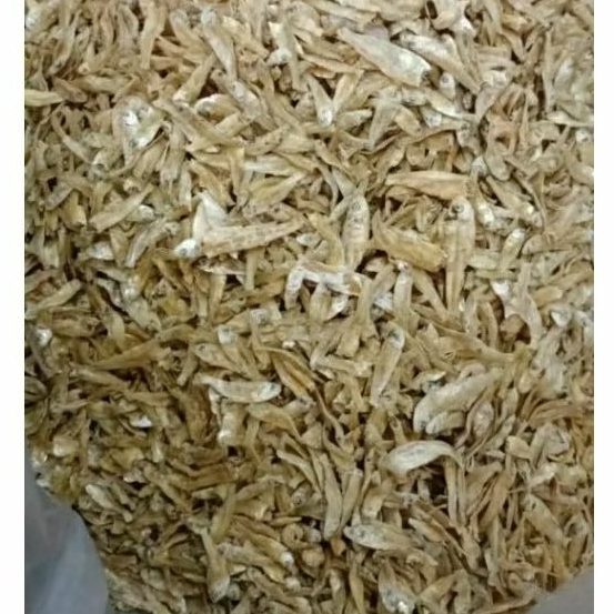 

Ikan Teri Bilis Khas Kalimantan - Pontianak