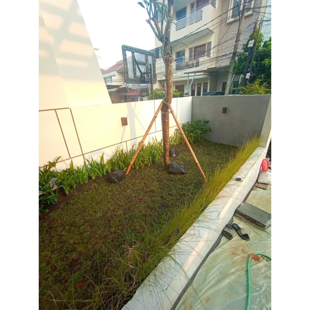 Jasa Pembuatan Taman Minimalis Pembuatan Taman