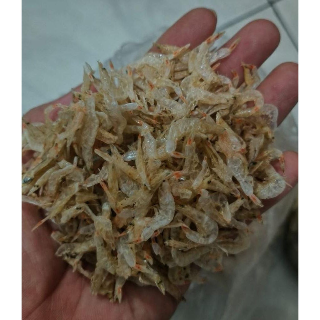 udang rebon kering /urang dawu /udang gragu