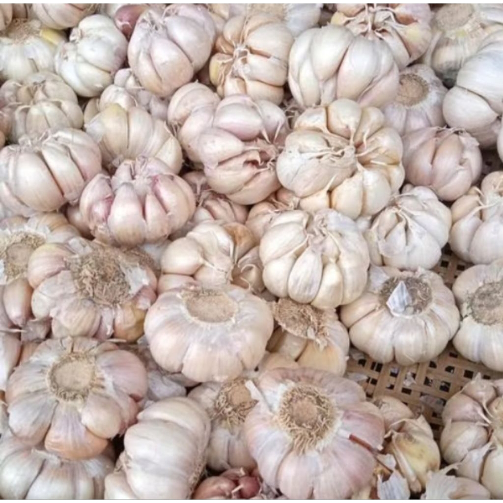

Bawang putih bersih 500gram .