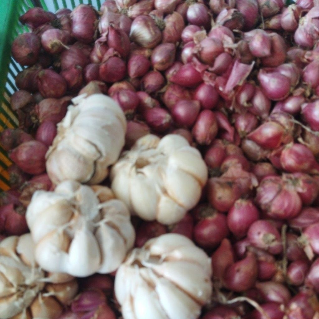 

bawang merah mix bawang putih 1kg