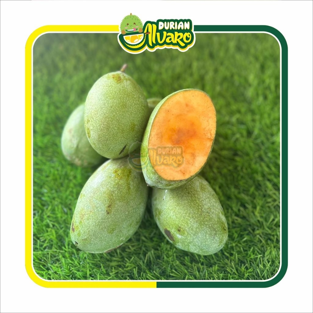 

Mangga Manalagi ±1kg