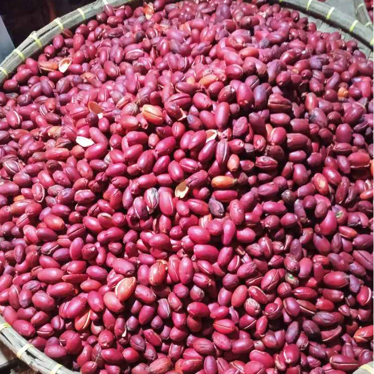 

Kulit Melinjo Kulit Tangkil per liter