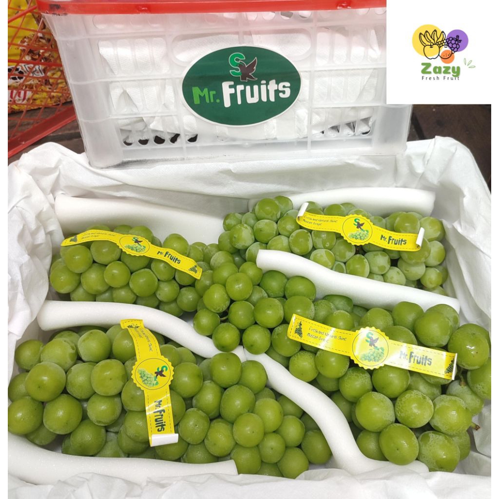 

ANGGUR IMPORT SHINE MUSCAT MR. FRUIT MANIS & JUICY