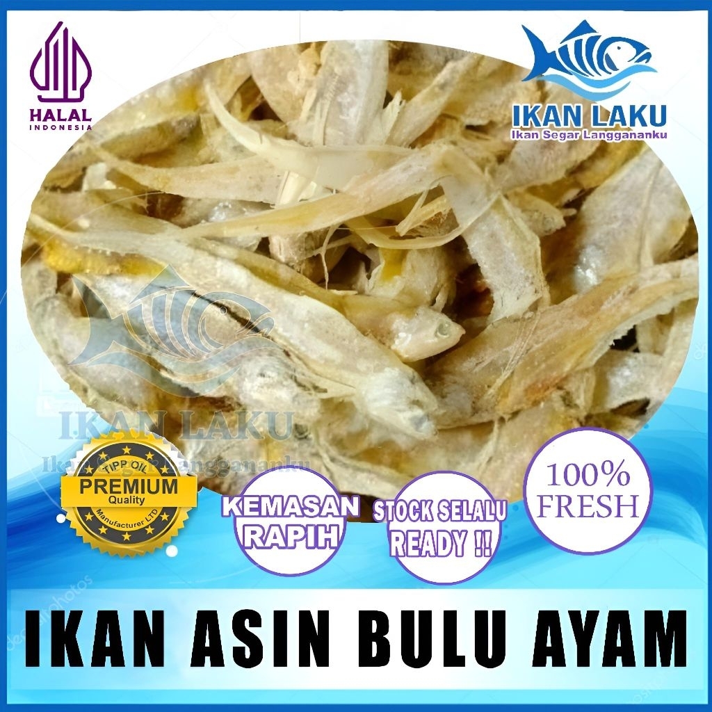

PRODUK BARU!!! IKAN ASIN BULU AYAM TIPIS KRIUK PREMIUM FRESH TERMURAH BERGARANSI IKAN LAKU IKAN SEGAR IKAN BEKU