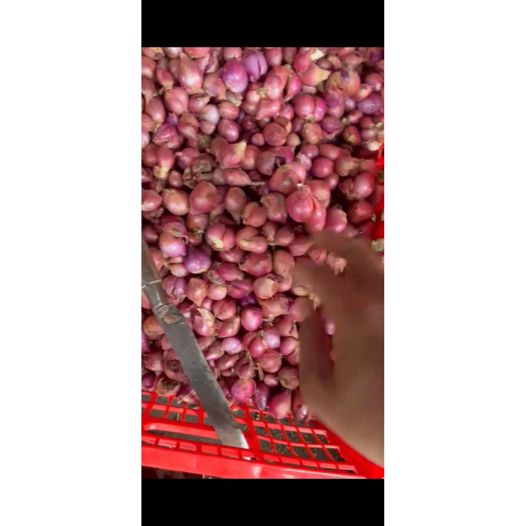 

Bawang Merah/kg