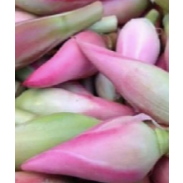 

Kencong Segar Medan Daily Market