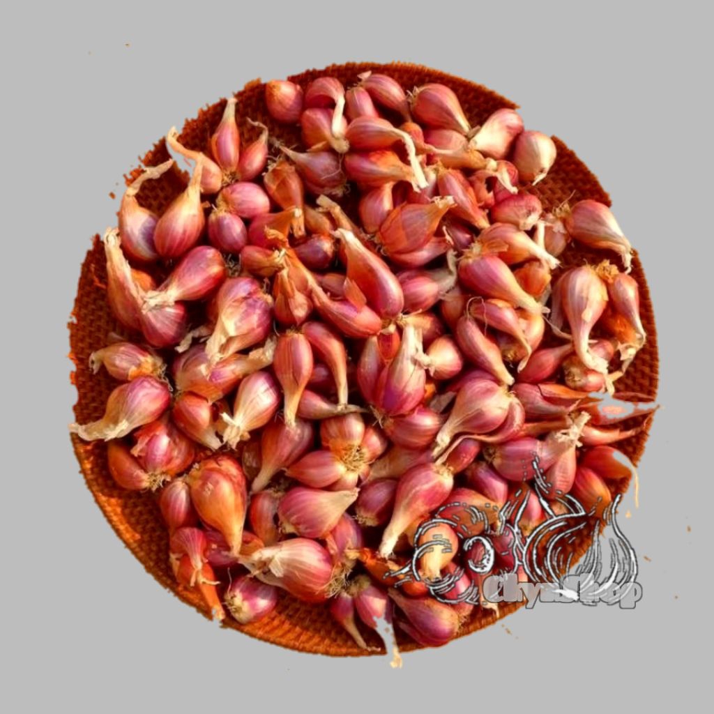 

bawang merah kering kecil lokal 1kg