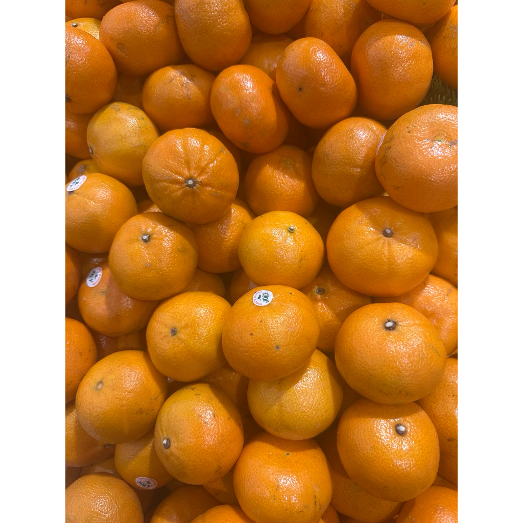 

Jeruk Royal Honey Murcot 500g