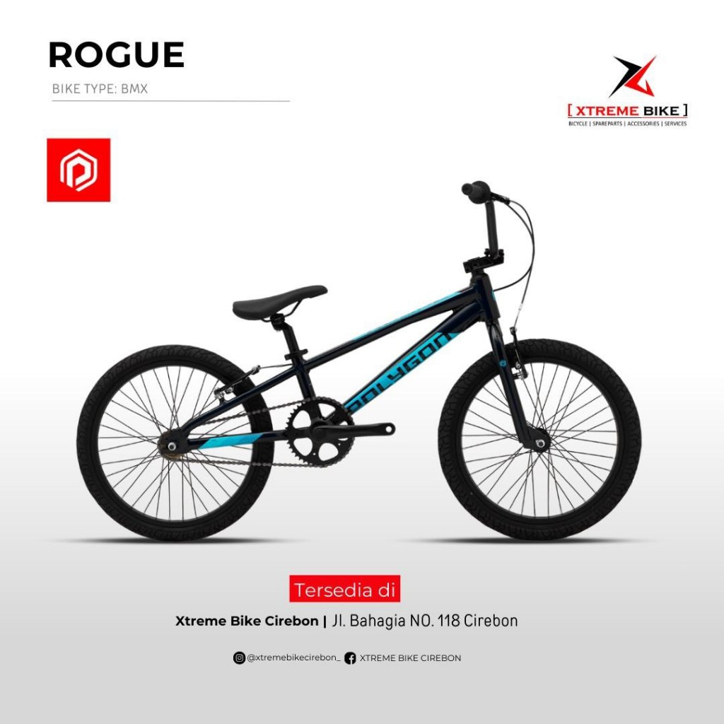Sepeda BMX Polygon 20" Rogue - Sepeda Anak