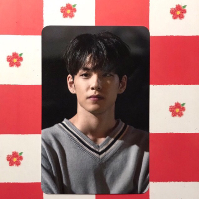 wonpil everyday6 photocard