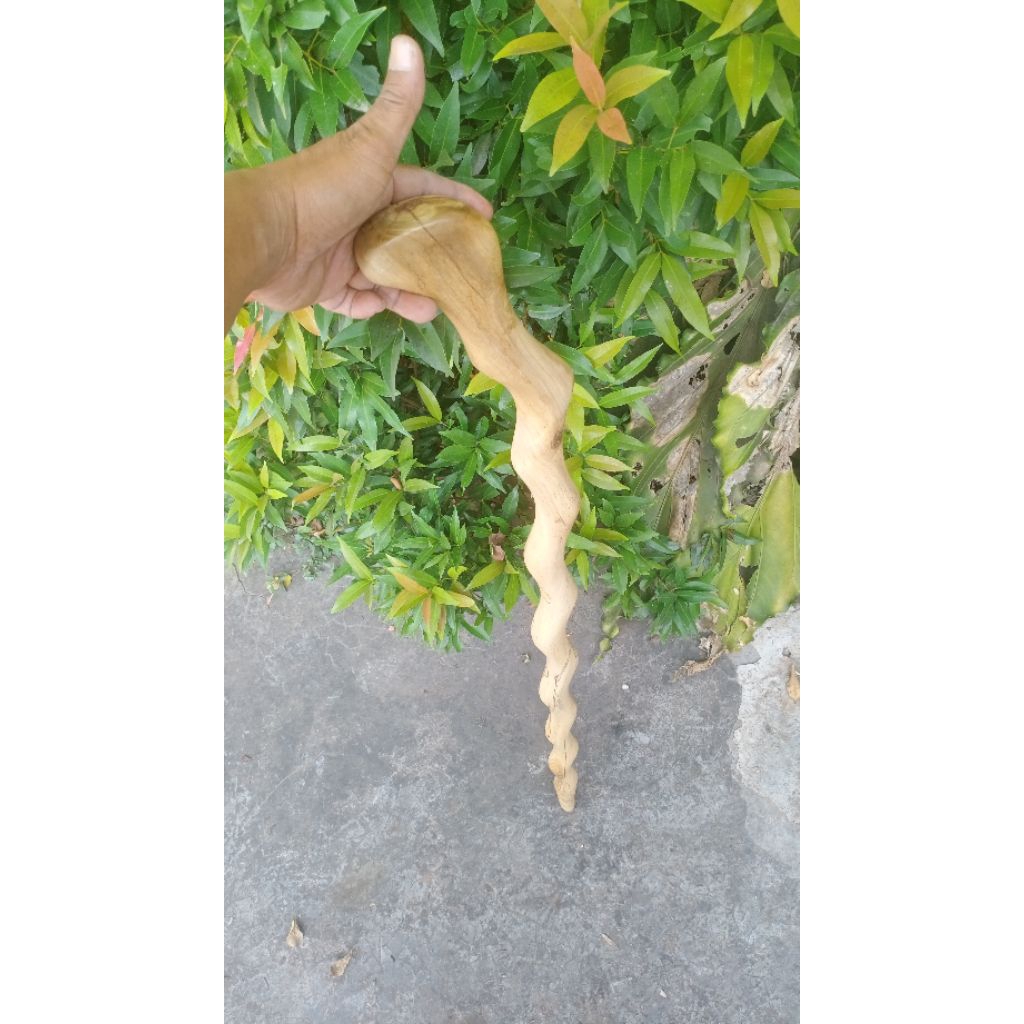Tongkat jalan kayu bertua BIDARA ARAB 0011