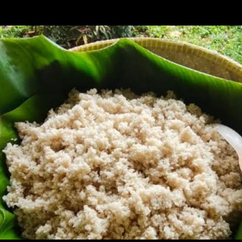 

Oyek Tiwul Sehat Premium: Beras Singkong Organik Asli CIANJUR SELATAN, Pilihan Cerdas untuk Hidup Lebih Baik!