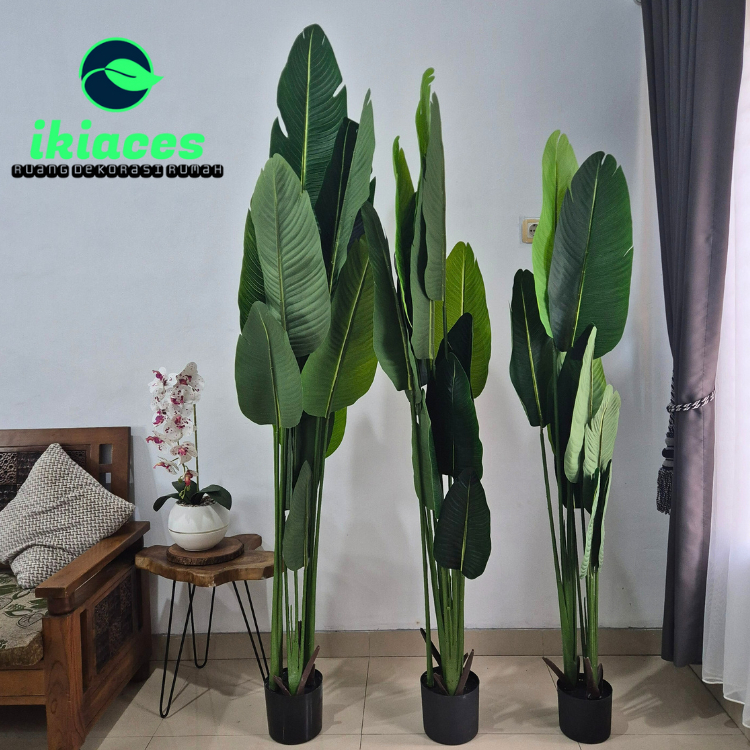 Daun Pisang Artifisial Jumbo 2 Meter Pohon Pisang Plastik Tanaman Hias Jumbo Pohon Hias Aesthetic