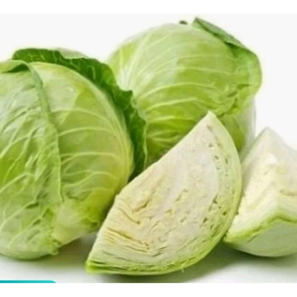 

kubis kol 1 kg langsung dari petani