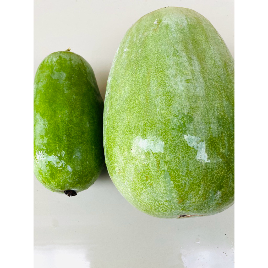 

Buah Kundur/Buah sayur air Kulitas terbaik