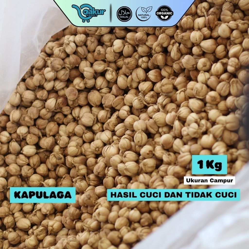 

Kapulaga 1 kg Utuh Kualitas Ekspor Rempah Pilihan, Wangi Tajam, Murni tanpa Campuran
